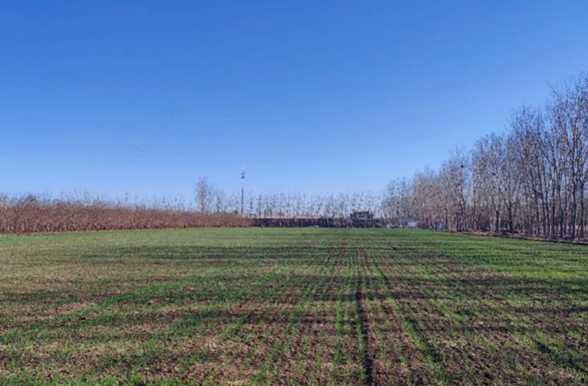 北京發布2024年“田長制”任務清單