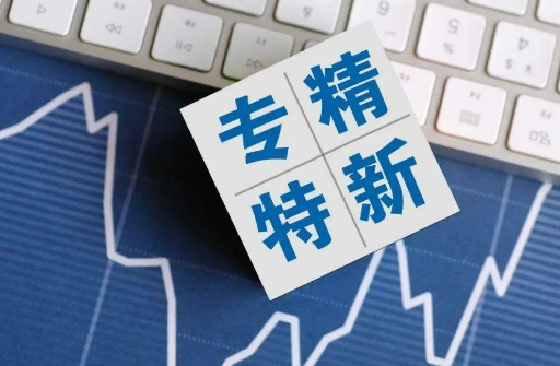 浙江進一步支持專精特新企業發展