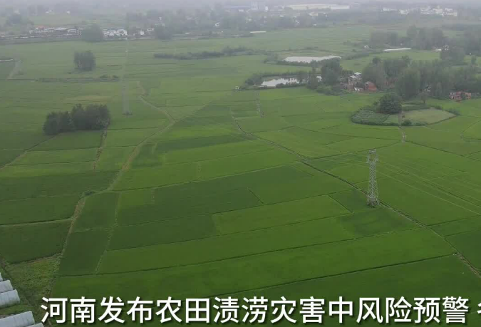 河南發布農田漬澇災害中風險預警 專家支招田管