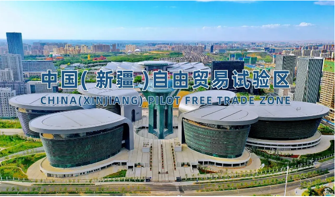 同比增長48.4%！最年輕自貿試驗區交出成績單