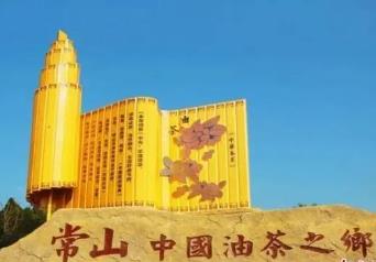 探訪“中國油茶之鄉”：傳統農業“新”在何處