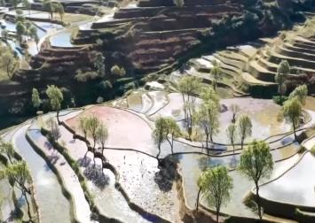 農業文化遺產“活”起來 開辟促進共富、帶動發展新路徑