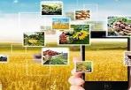 我國首個農業通用大語言模型發布