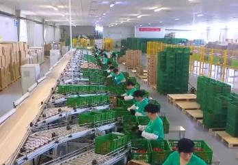 100億、10億、8.7萬億！鄉村特色產業領域拓寬 發展韌性強