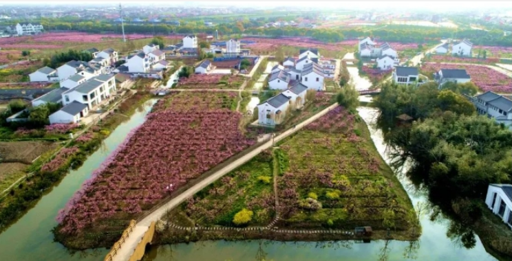 中交集團為鄉村地區打造堅實基礎設施支撐