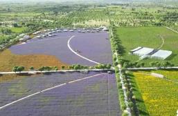 沙漠變綠地、變耕地 我國率先實現土地退化“零增長”