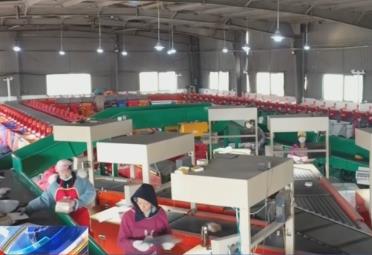 開展新業務、布局優質資產 外資加碼投資中國市場