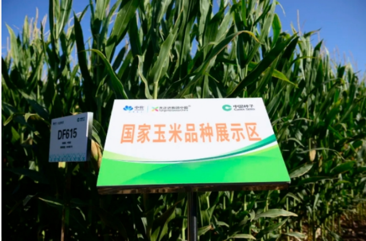 中國中化中國西北春玉米研發中心正式啟用
