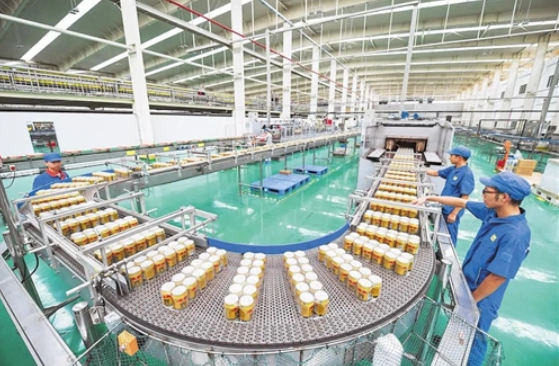 湖北咸寧做強飲料產業