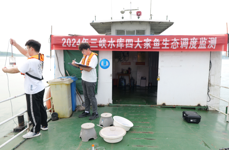 再創歷史新高！2024年金沙江下游梯級及三峽水庫生態調度試驗圓滿結束