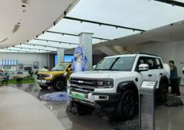 汽車市場一線“戰”況：以技促降，自主沖高需行穩致遠