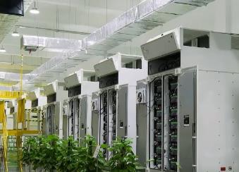 我國消費市場空間持續擴大 進口來源地覆蓋廣、品類豐富