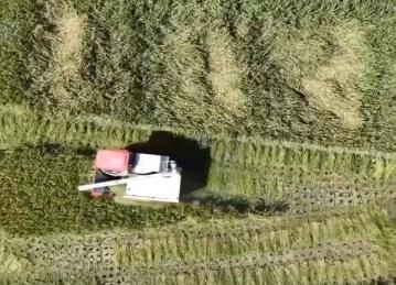 農業興、農村美、農民富 金秋時節田間地頭處處好“豐”景