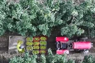 秋糧穩產 蝦蟹滿倉 金秋時節各地豐收又增收