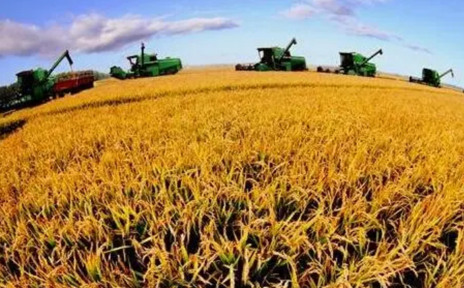 云南糧食生產不斷提升持續突破