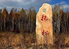 吉林撫松：“中國人參之鄉”迎來交易旺季