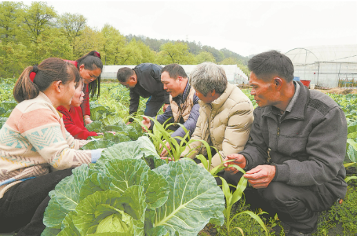 我國農民教育培訓將從4方面提升質量
