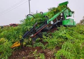 我國首套胡蘿卜無人收獲機正式發布