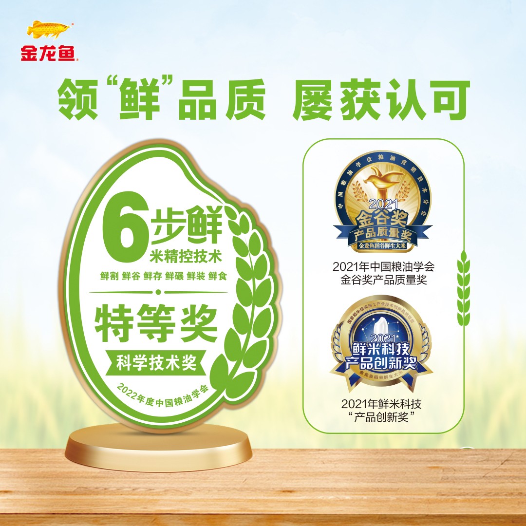 1729481502765559.jpg 1729481502765559.jpg