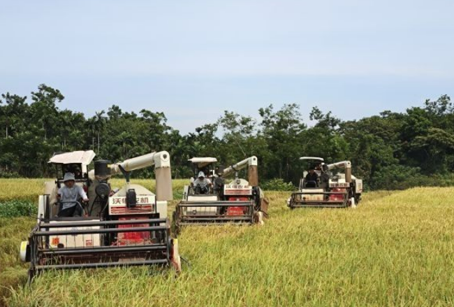 強監管 重效能 數字化賦能——海南出實招系統推進耕地保護