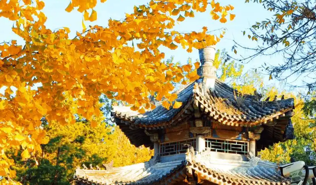北京順義：“紅葉經濟”點燃文旅產業新引擎