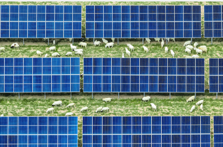 20241107112305885.png 20241107112305885.png