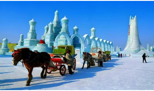 全面升級！今年冬季黑龍江將“寵客”模式進行到底