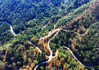 “山核桃之鄉”結出“致富果”