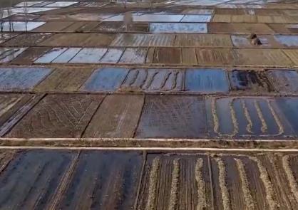 讓農田“喝飽”冬灌水 為來年農作物增產增收夯實基礎