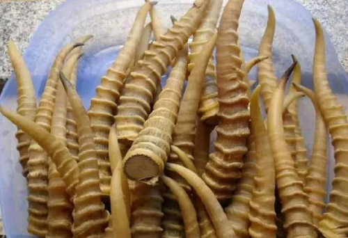 珍稀瀕危中藥材替代品產業化或將加速