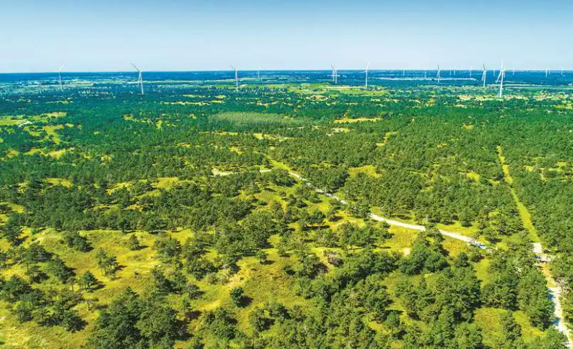 聯防聯治穩步推進 “三北”工程構筑北疆綠色長城