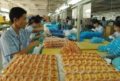 游泳鏡新國標即將實施 應用國人頭模進一步提高產品舒適性