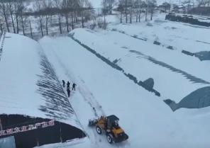 強降雪下的溫暖防線：農技專家指導農戶科學防寒，保障農業生產平穩