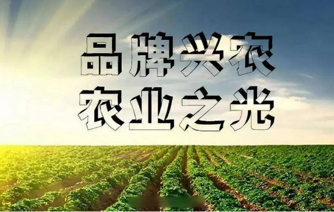 2024年農業品牌精品培育計劃名單發布