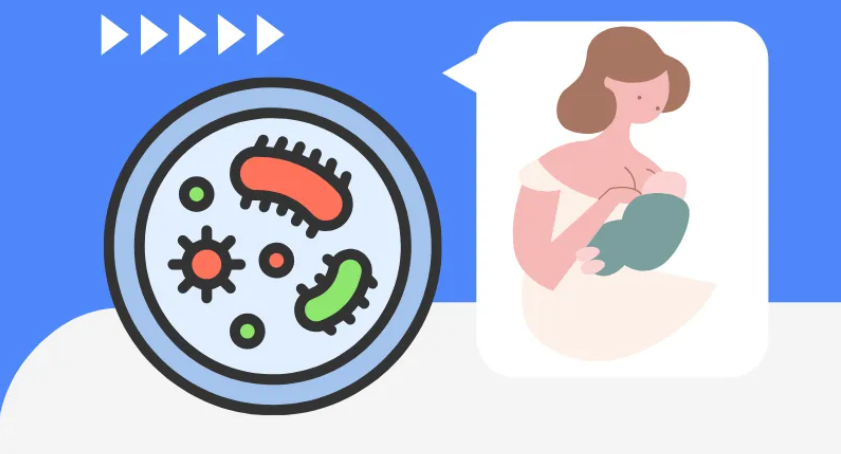 解碼中國益生菌市場，與賽哺高一同探尋未來的X創新方案