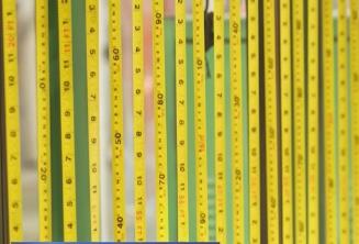 從“草根經濟”走向“樹根經濟”，小卷尺“丈量”大世界