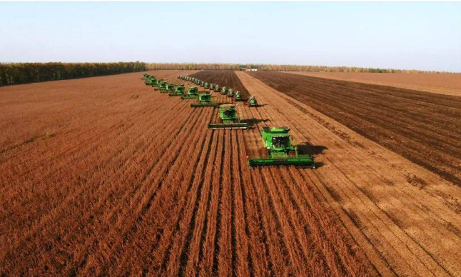 藏糧于技端牢“中國飯碗”