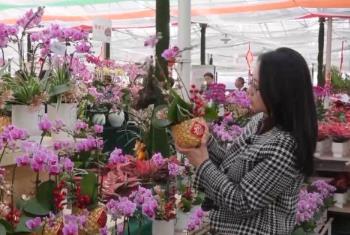 年夜飯外賣 飄香棗糕 外焦里嫩干煸魚 多地開啟“春節檔”