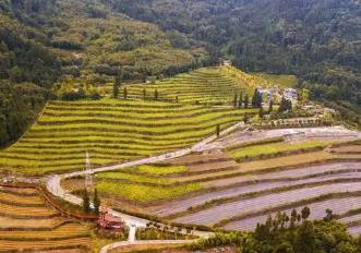 四川首單水土保持碳匯交易達成