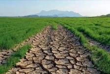 全國農業氣候資源普查和區劃試點形成可復制可推廣經驗成果
