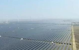 鹽堿地變身清潔能源新綠洲 我國最大灘涂光儲電站投產發電