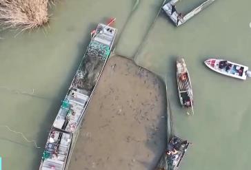 冬捕開網迎新春 年年有“魚”銷路旺