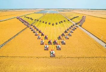 10組數據，看2024年龍江“三農”成績單！