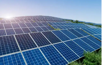 2024年中國綠色貿易領跑全球 綠色產品豐富供給