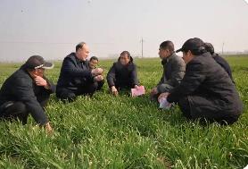 農業農村部開展春管春耕調研指導