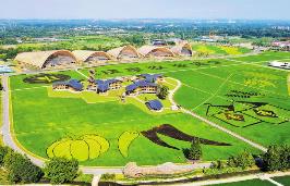 四川成都現代都市農業擴面提質