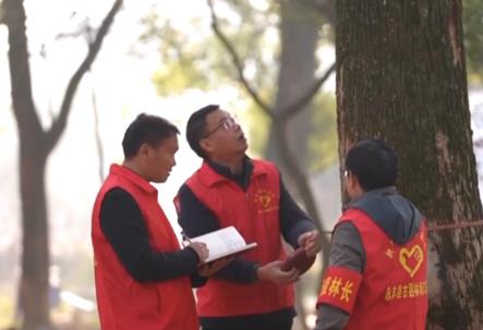 我國古樹名木保護取得積極進展