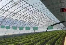 智慧農業作引擎 設施大棚增收入