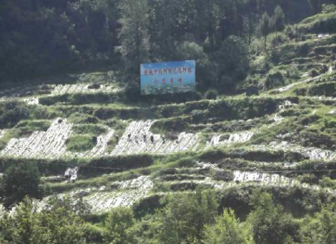 四川萬源通過“天麻之鄉”評審