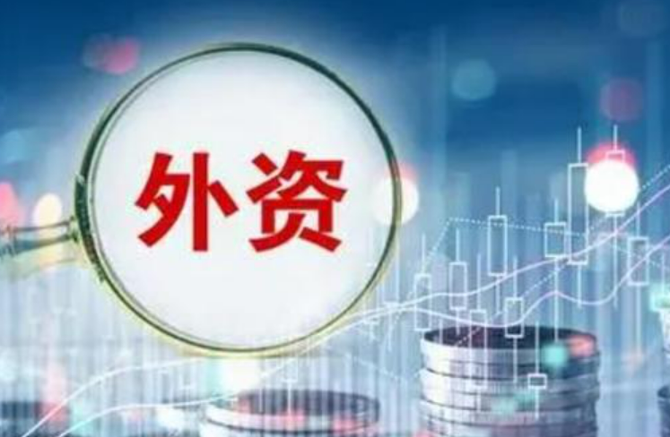 《2025年穩外資行動方案》發布，四部門集中回應熱點關切